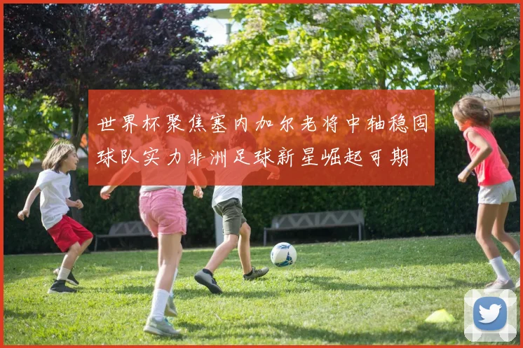 世界杯聚焦塞内加尔老将中轴稳固球队实力非洲足球新星崛起可期