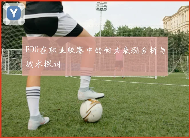 EDG在职业联赛中的耐力表现分析与战术探讨