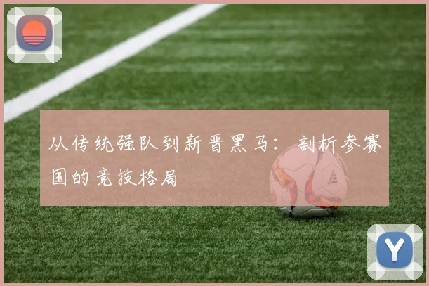 从传统强队到新晋黑马：剖析参赛国的竞技格局