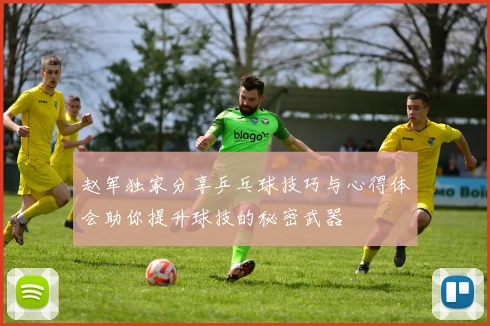 赵军独家分享乒乓球技巧与心得体会助你提升球技的秘密武器