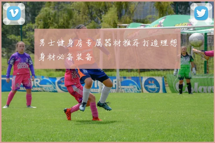 男士健身房专属器材推荐打造理想身材必备装备