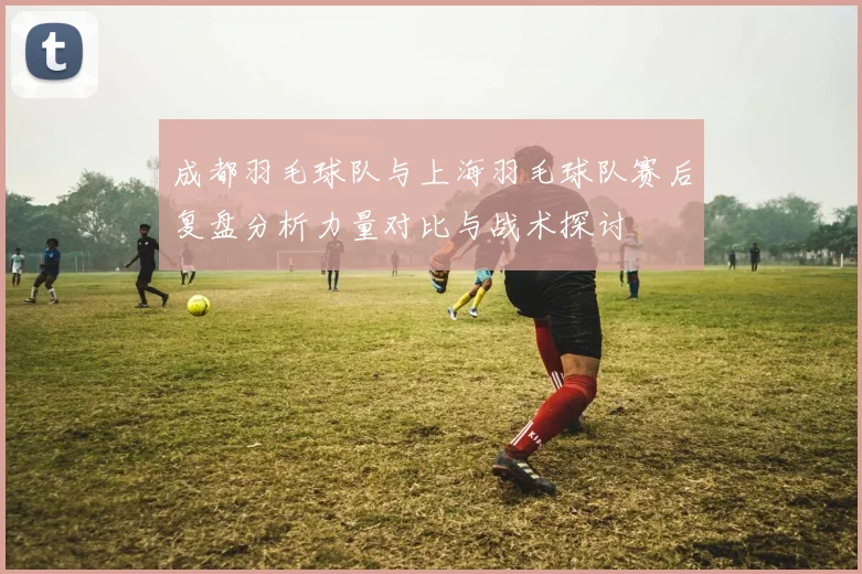 成都羽毛球队与上海羽毛球队赛后复盘分析力量对比与战术探讨